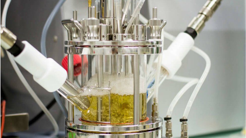 Carbios Breaks Down PET By Using Enzymes