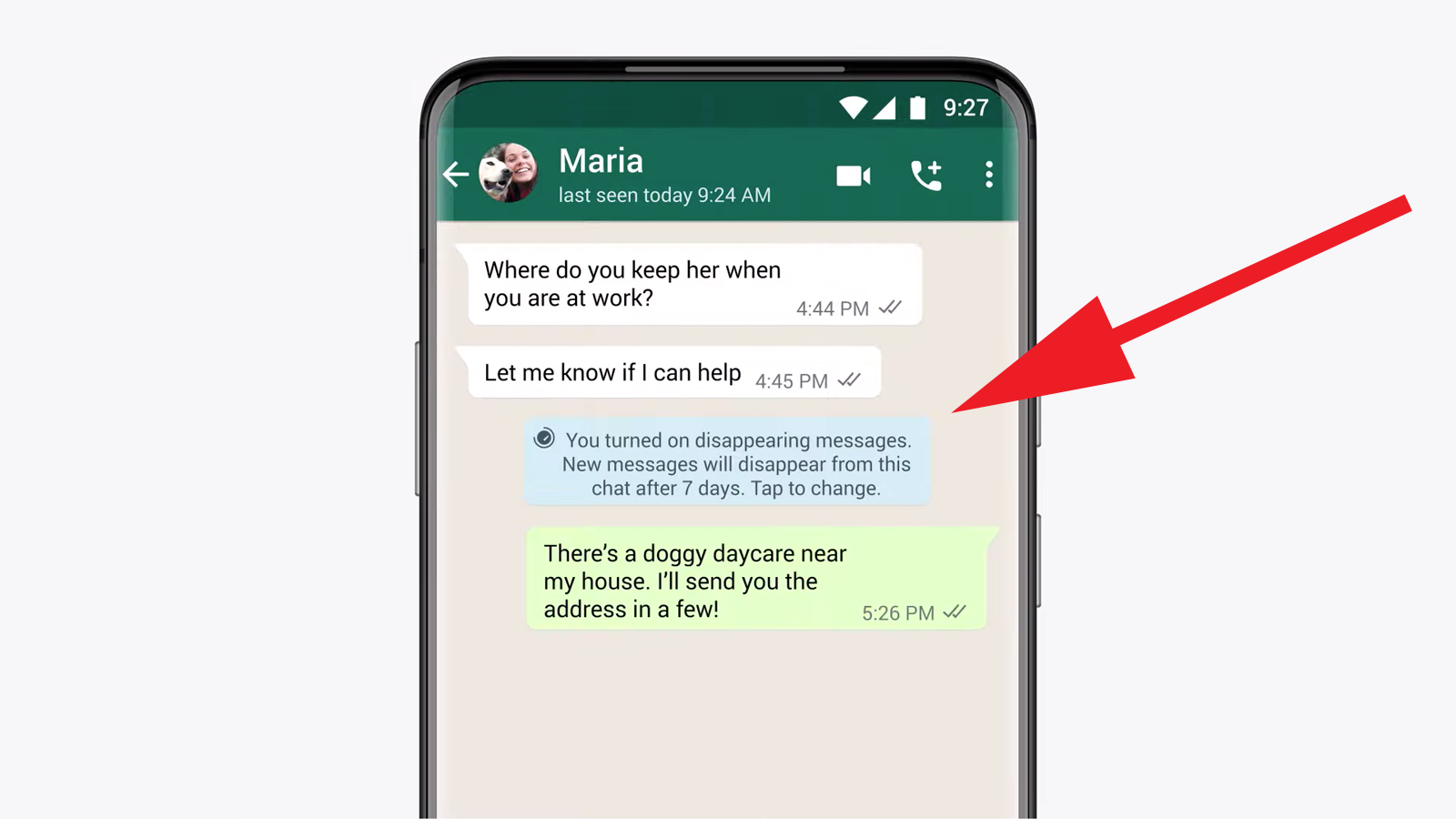 The Disappearing Messages Raise Some Questions