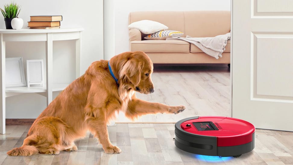 The New Update Helps Avoid Pet Mess Disasters