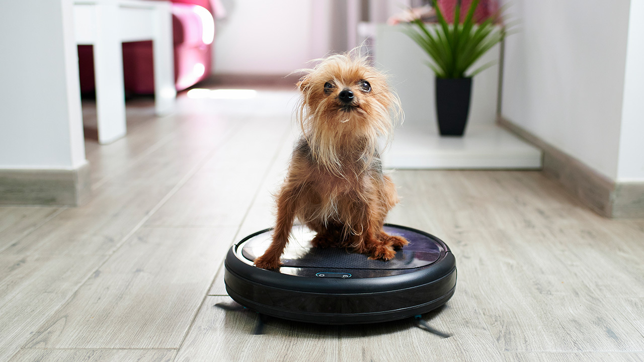 Roomba Has A New Design Update That Helps Pet Owners With ThoseUnfortunate Mishaps